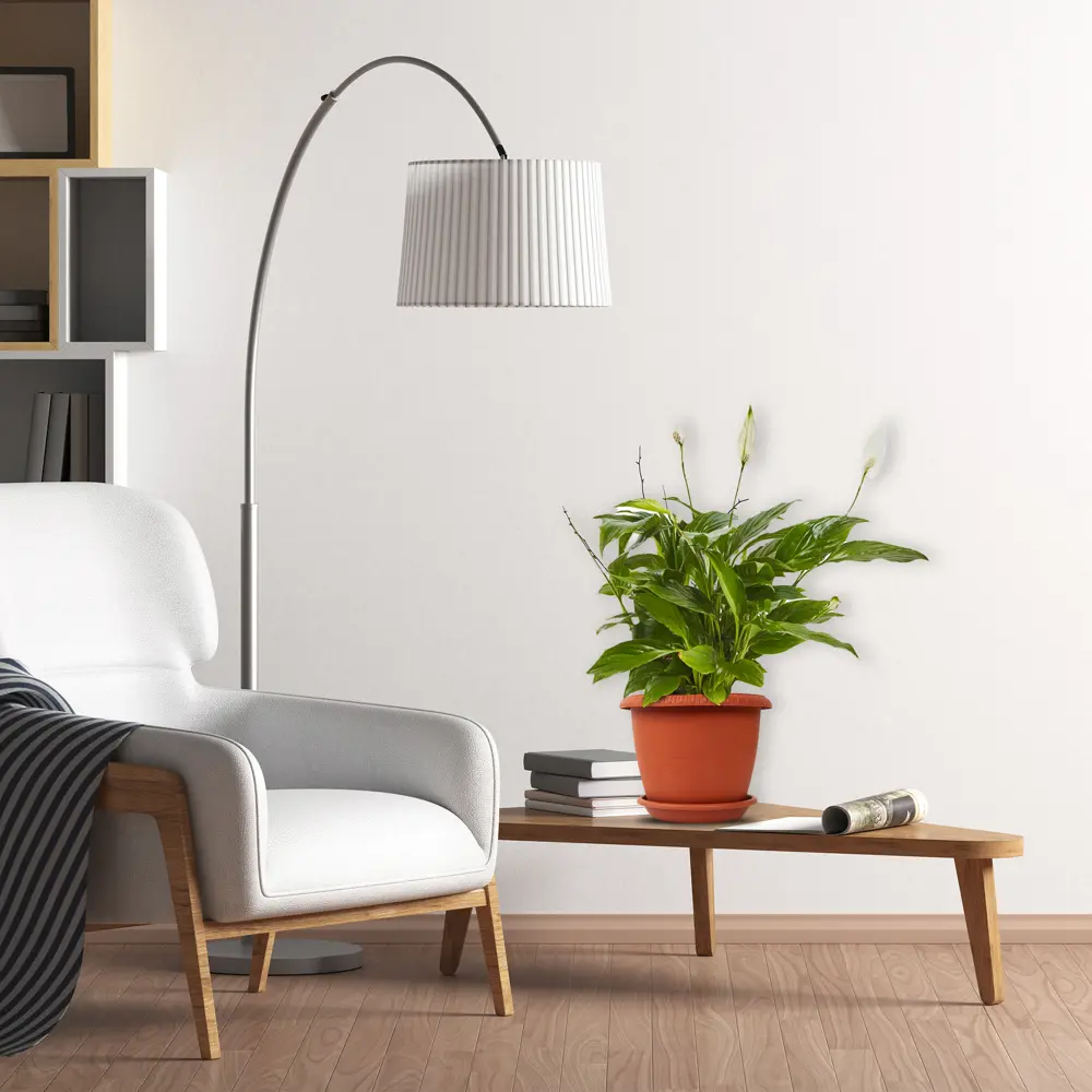 Спатифиллум Шопен Santreyd - элегантное комнатное растение с ароматным цветением 82579841 STLM-0030538 - Вид №4