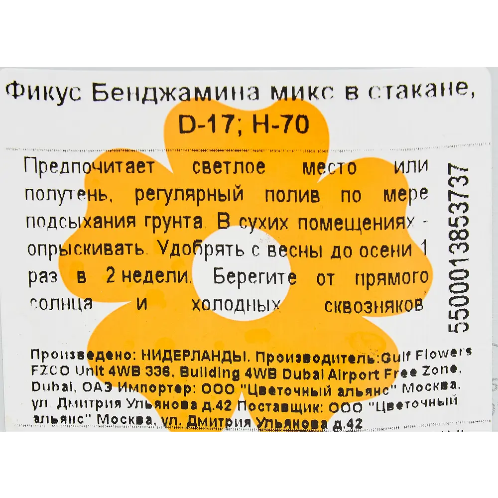 Фикус бенджамина Роялти Микс More Lips 17x70 см 82771274 STLM-2155241 MORELIPS  - Вид №2