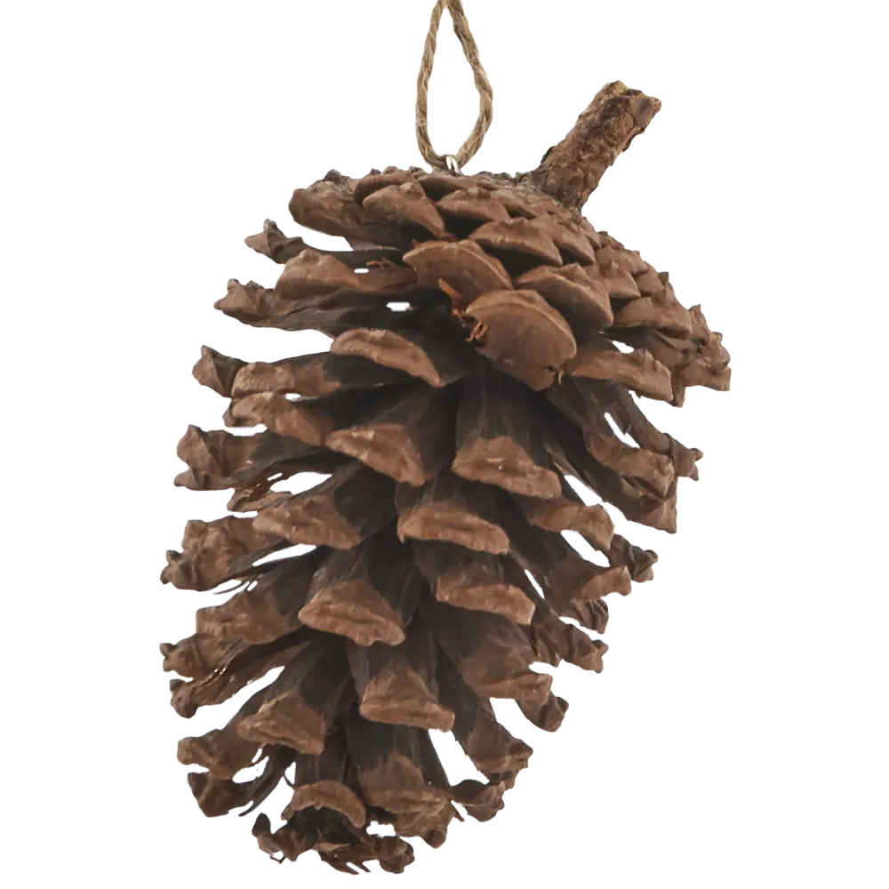 Украшение ёлочное «Шишка», 6-8 см, цвет коричневый Santreyd STLM-2079265 - Вид №1
