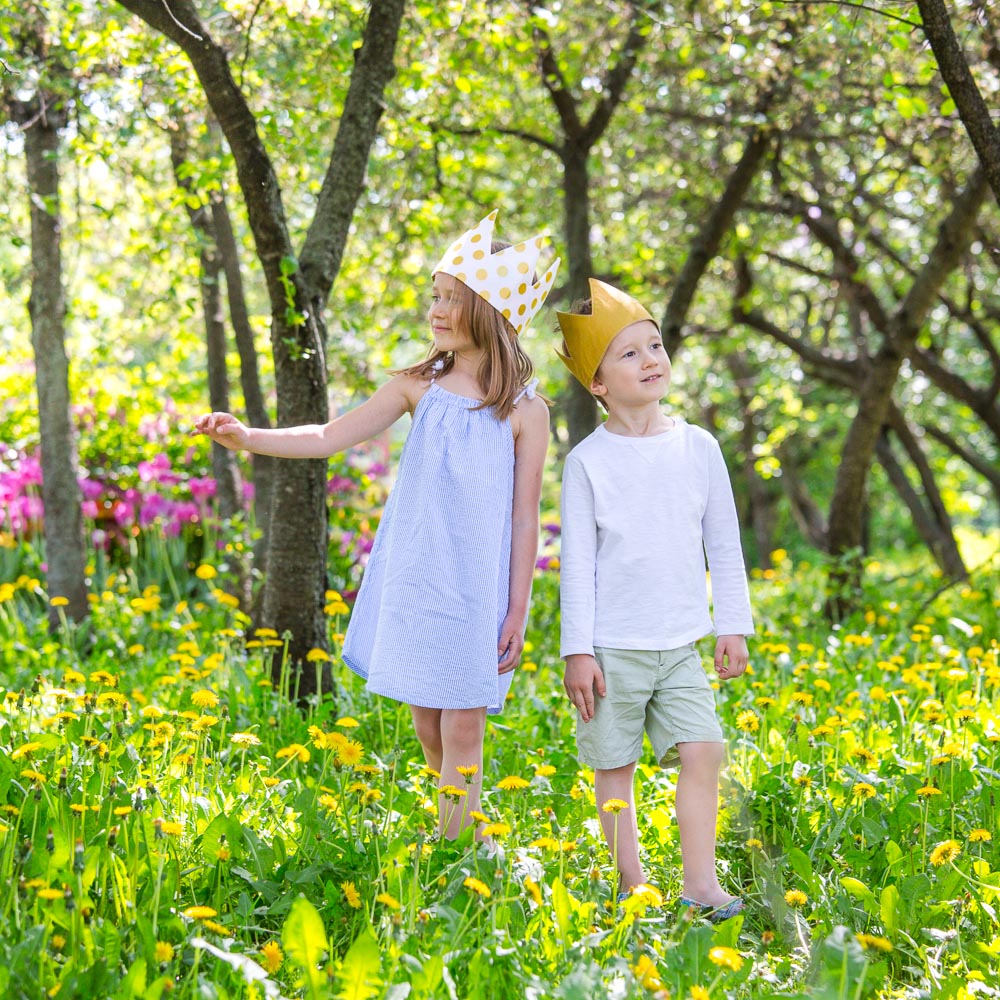 Детская корона Gold VAMVIGVAM  281489 Разноцветный Santreyd  - Вид №4