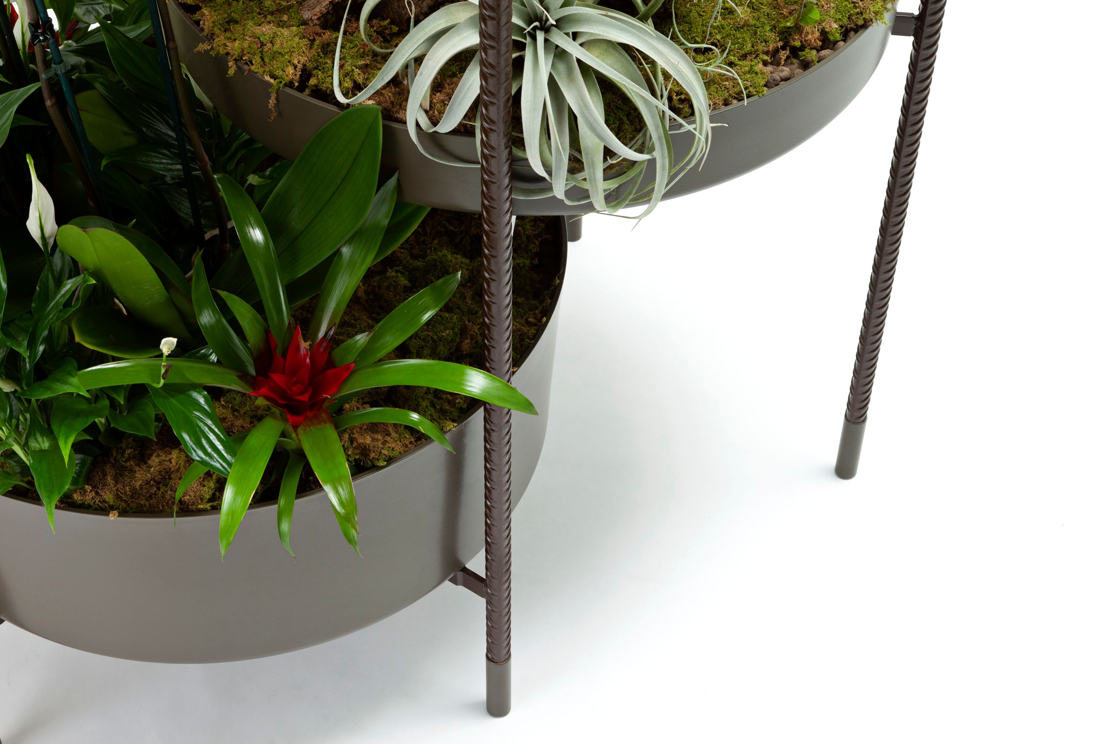 Нержавеющая сталь высокий горшок держатель Exteta 10th ARCH-00092532 - Вид №5