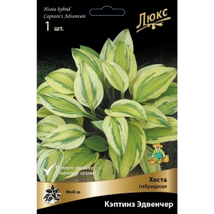 83598053 Хоста гибридная Кэптинз Эдвенчер луковица I STLM-0959857