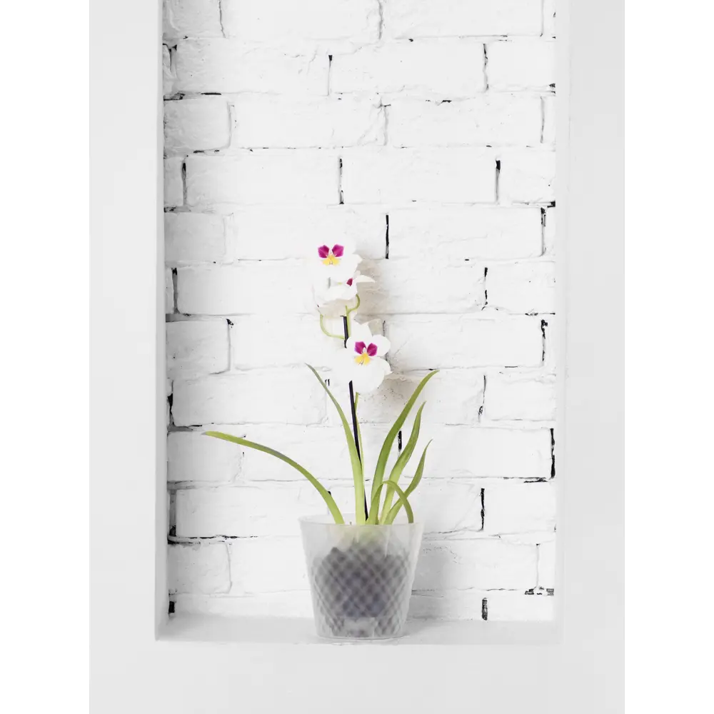 Горшок для цветов Ingreen Manhattan Orchid Ø16 h14.5 см v1.6 л пластик прозрачный STLM-2125131 - Вид №6