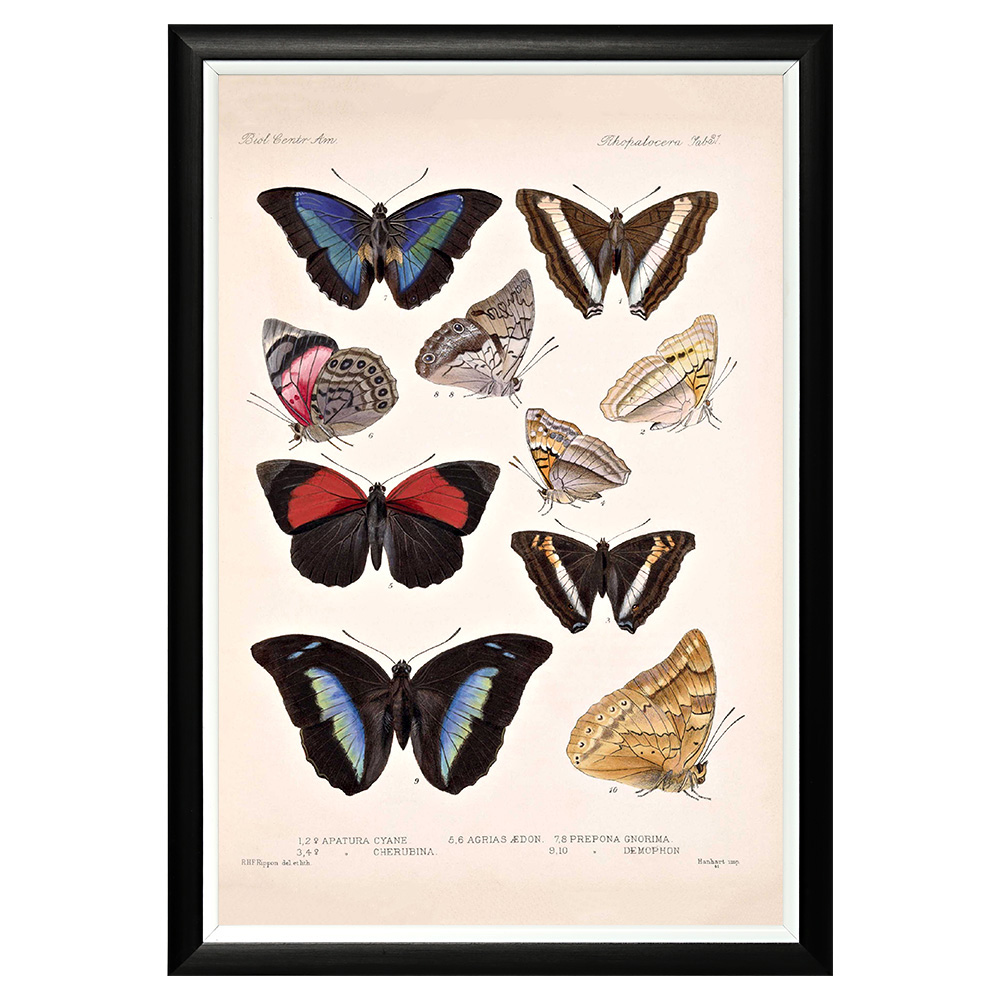 782752293_1818 Арт-постер «Тропический рай», версия 15 Object Desire 