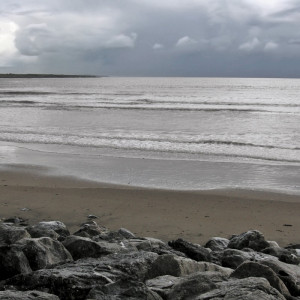 0994/CX38 Картина 1352 Adriani e Rossi