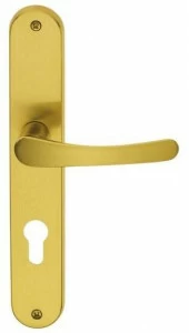 Pasini Ручка из латуни на пластине с накладкой  3650