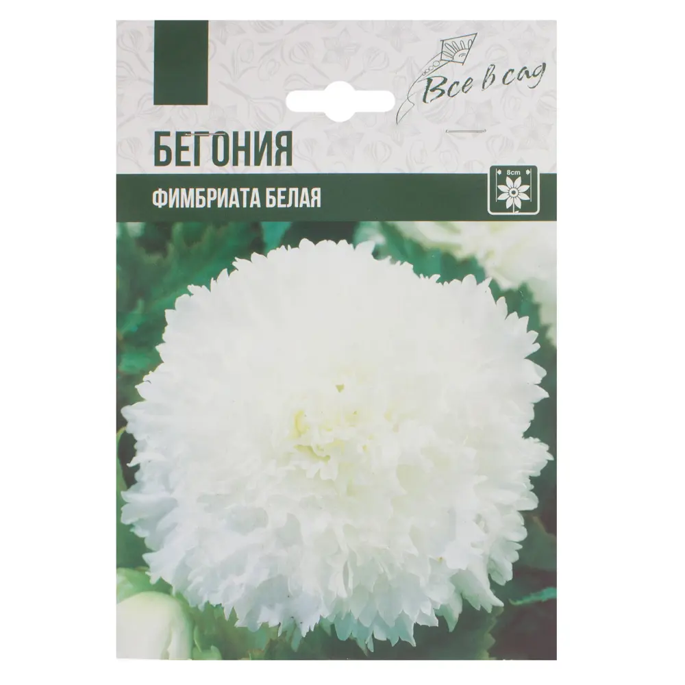 Бегония Фимбриата белый луковица 4/5 2 шт 81945824 STLM-2089290 ВСЕ В САД 