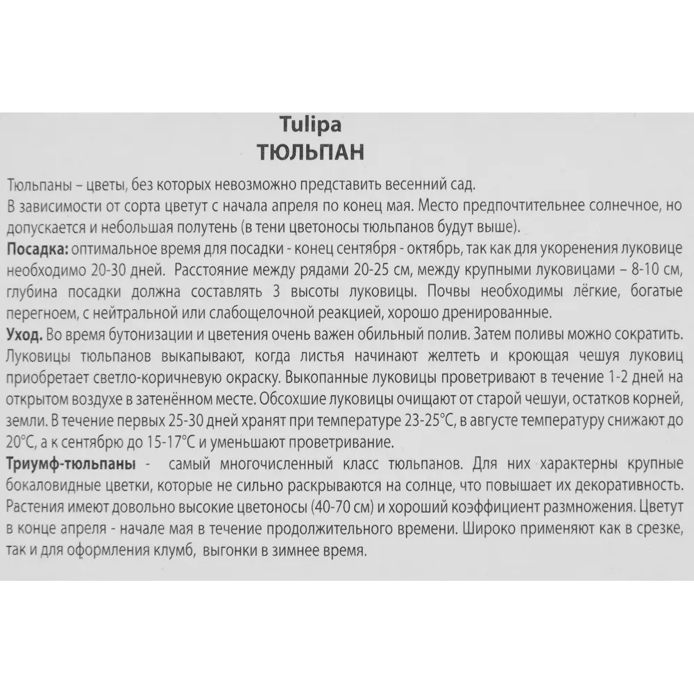Тюльпан Триумф Пассионалез луковица 10/11, 3 шт. 88294817 STLM-2058969 Santreyd  - Вид №2