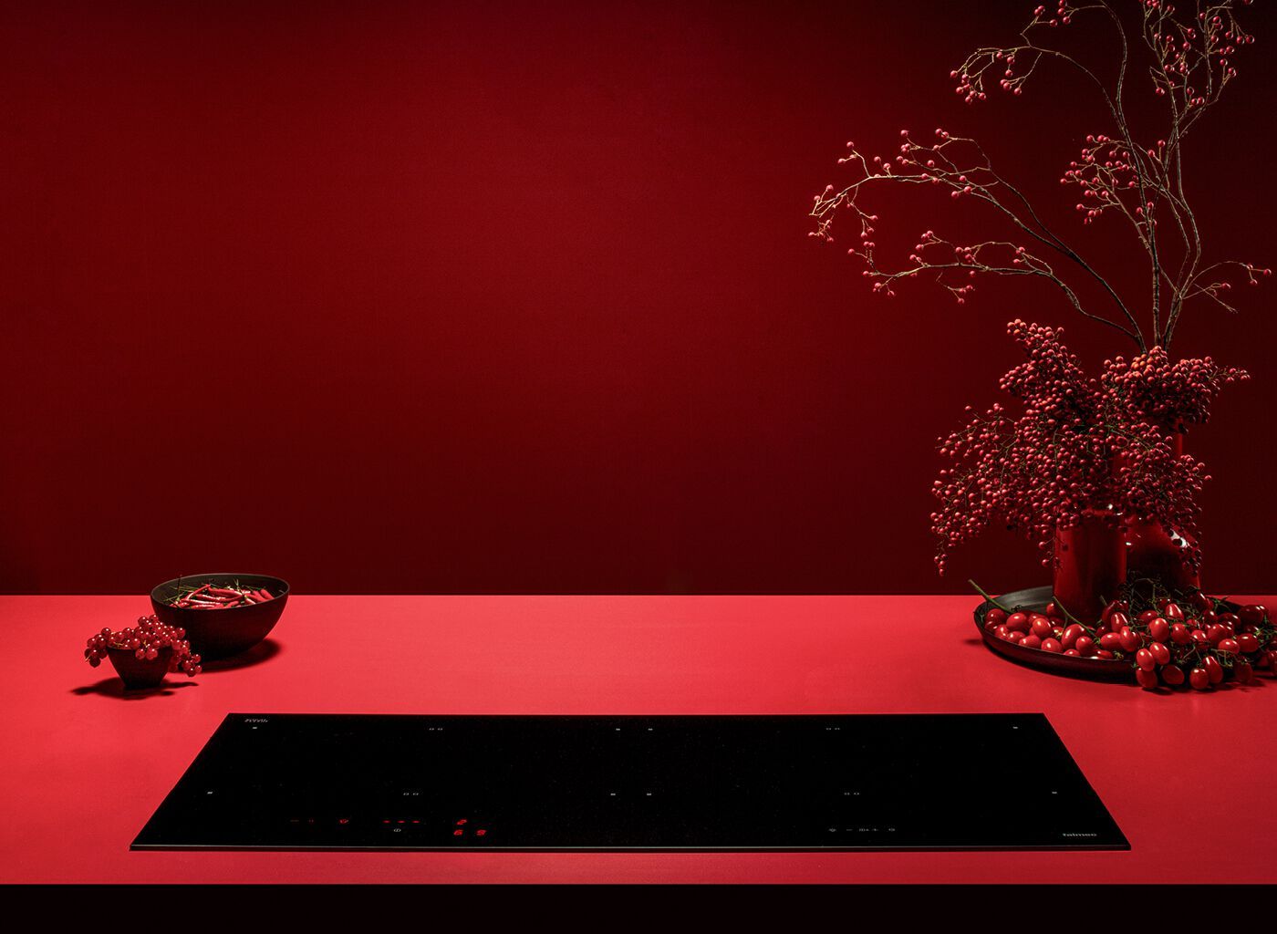 Встраиваемая индукционная плита из закаленного стекла Falmec Cooking Systems ARCH-00082425 - Вид №2