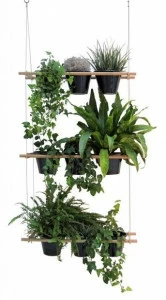 Compagnie Подвесной горшок Mobilier cultivé