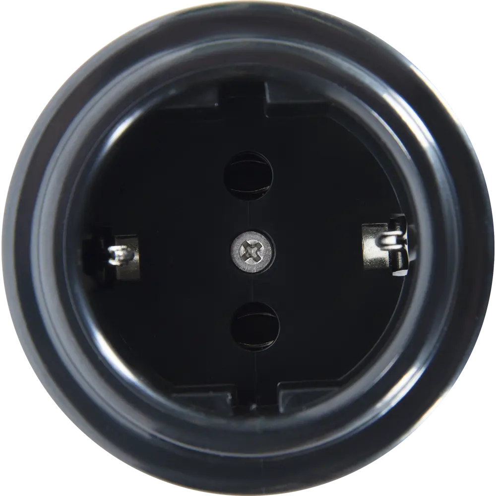 Розетка накладная Electraline Bironi в ретро-стиле с заземлением, черный 82063836