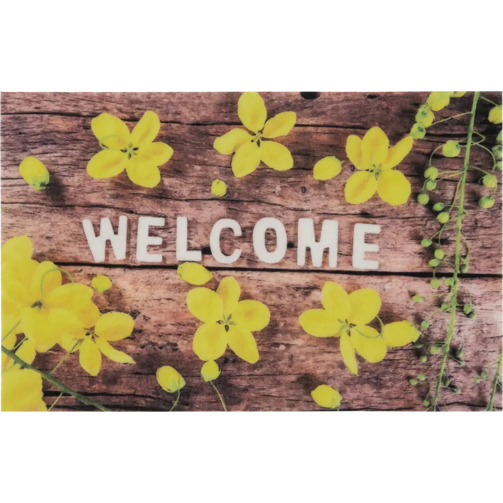 Коврик Welcome 50x80 см полиэстер CTIM STLM-2172594