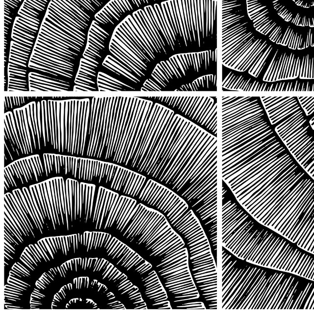 Стеновые панели - Шелл