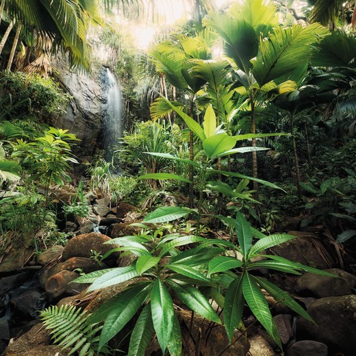 XXL2-527-Spirit Фотообои Komar Into Illusions Edition 2 2.48х1.84 м XXL2527SPIRIT