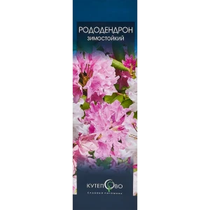 Рододендрон Хеллики 9x30 см 83539235 STLM-2156900