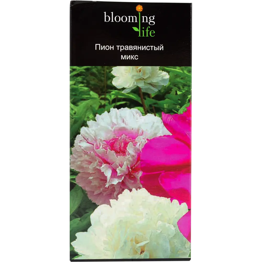 Микс травянистых пионов, в тубе 14379795 STLM-2074107 Santreyd 