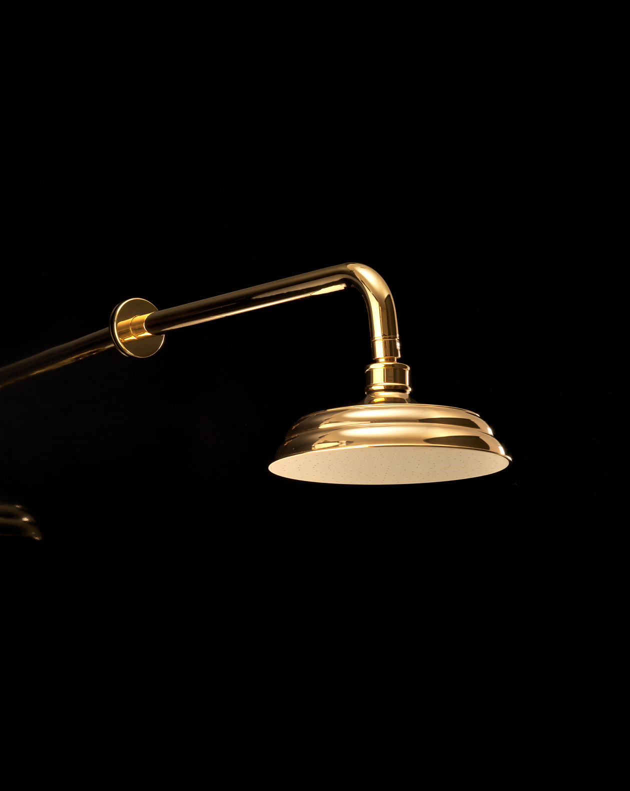 EXCSW140 Душевая головка и кронштейн Swan Devon&Devon  - Вид №1