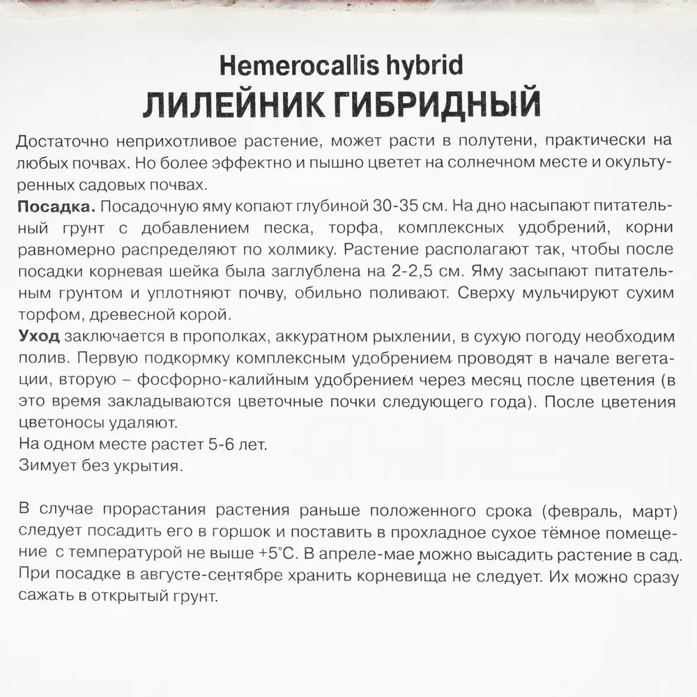 Лилейник гибридный «Жан Свон», 1 шт. 82118727 STLM-2041666 Santreyd  - Вид №1