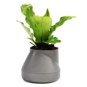 Горшок цветочный Hill Pot, маленький, серый