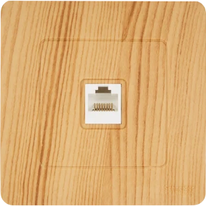 Розетка компьютерная SYSTEME ELECTRIC Blanca RJ45 Cat 5 цвет ясень 84500154