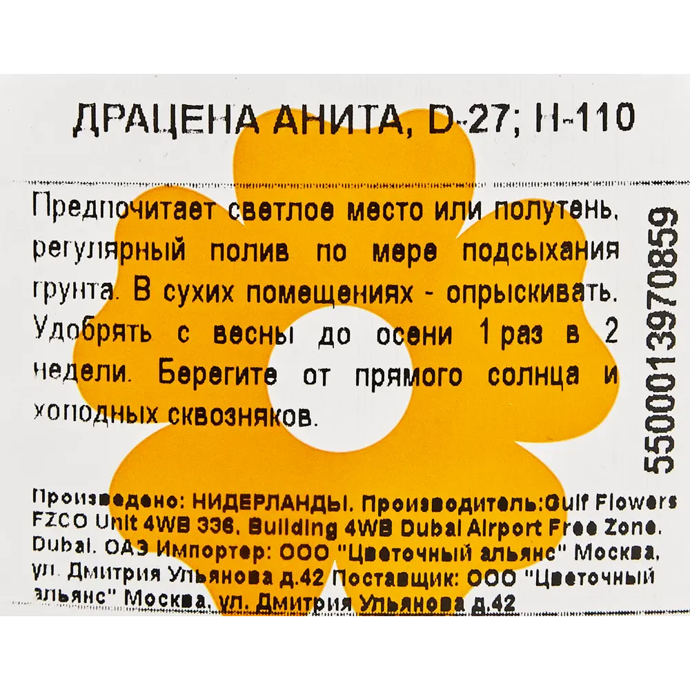 Драцена Анита 27x110 см 82850311 STLM-2065334 Santreyd  - Вид №2
