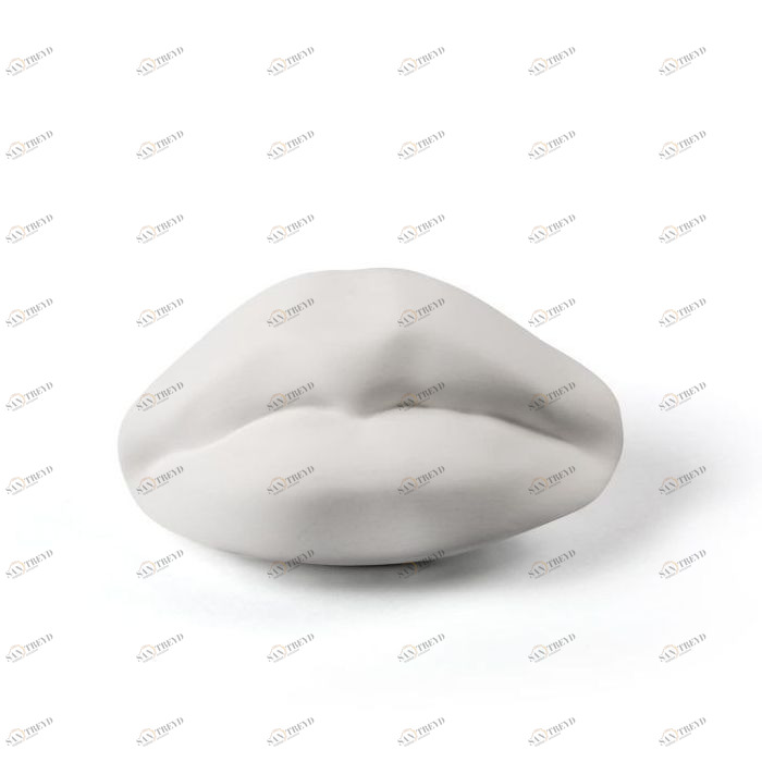 Статуэтка фарфоровая белая Memorabilia Mvsevm Mouth SELETTI  00-3883232 Белый 