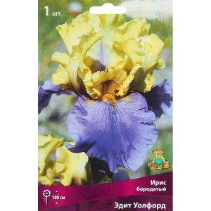 Ирис бородатый Эдит Уолфорд