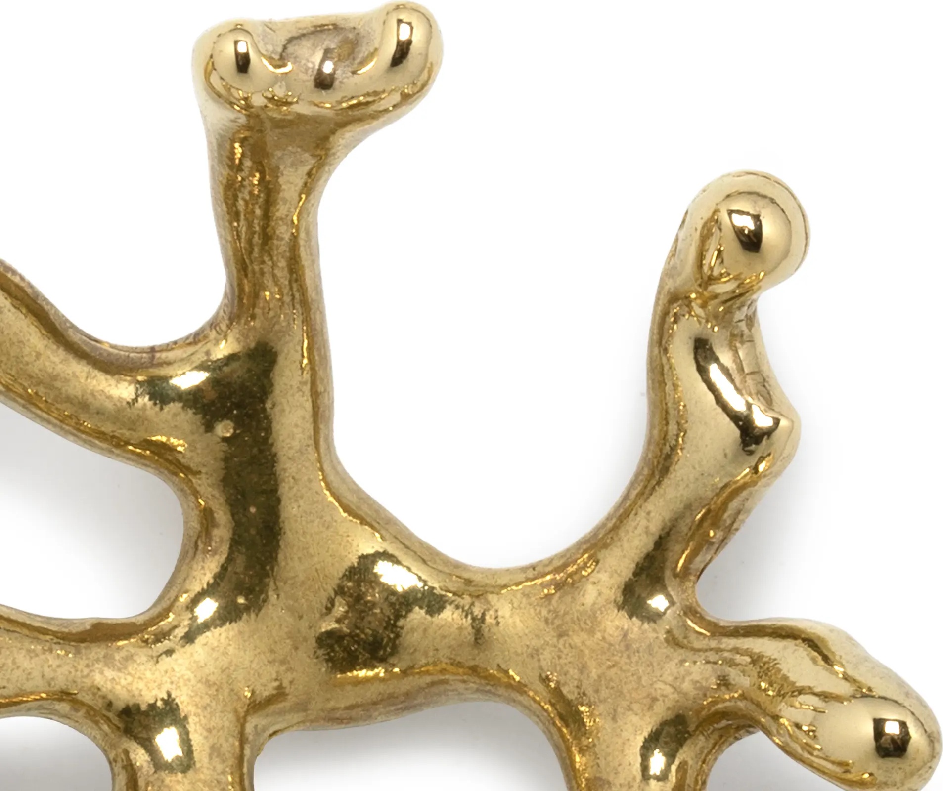 OC2006 Codium PULLCAST Ocean Collection  - Вид №2