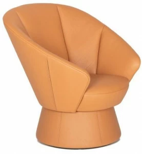 de Sede Поворотное кожаное кресло с подлокотниками Ds-163