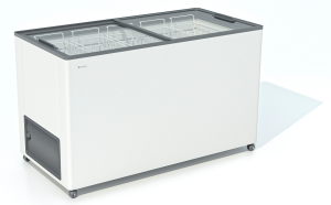 9198563 Морозильный ларь Frostor F 400 C белый, серый
