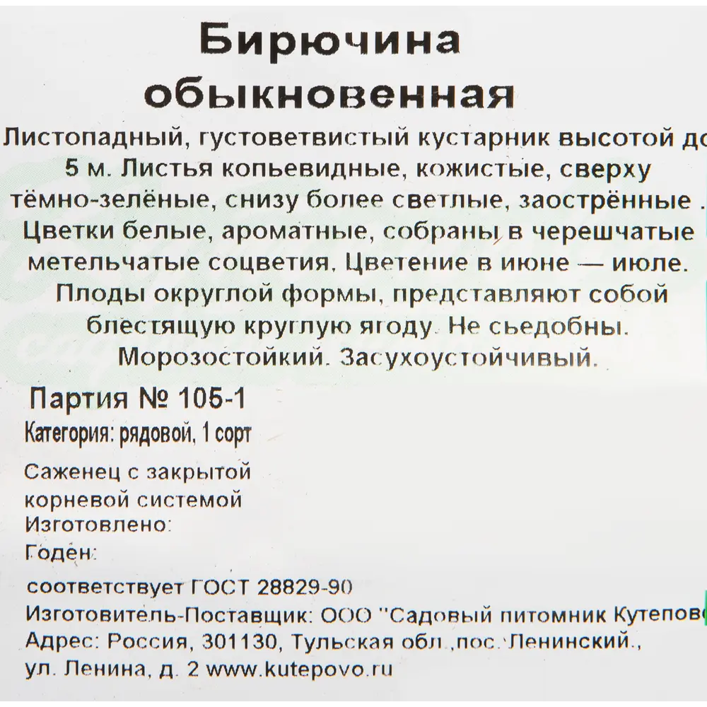 Бирючина обыкновенная Santreyd - пышный кустарник с ароматными цветами 82594822 STLM-0955482 - Вид №1