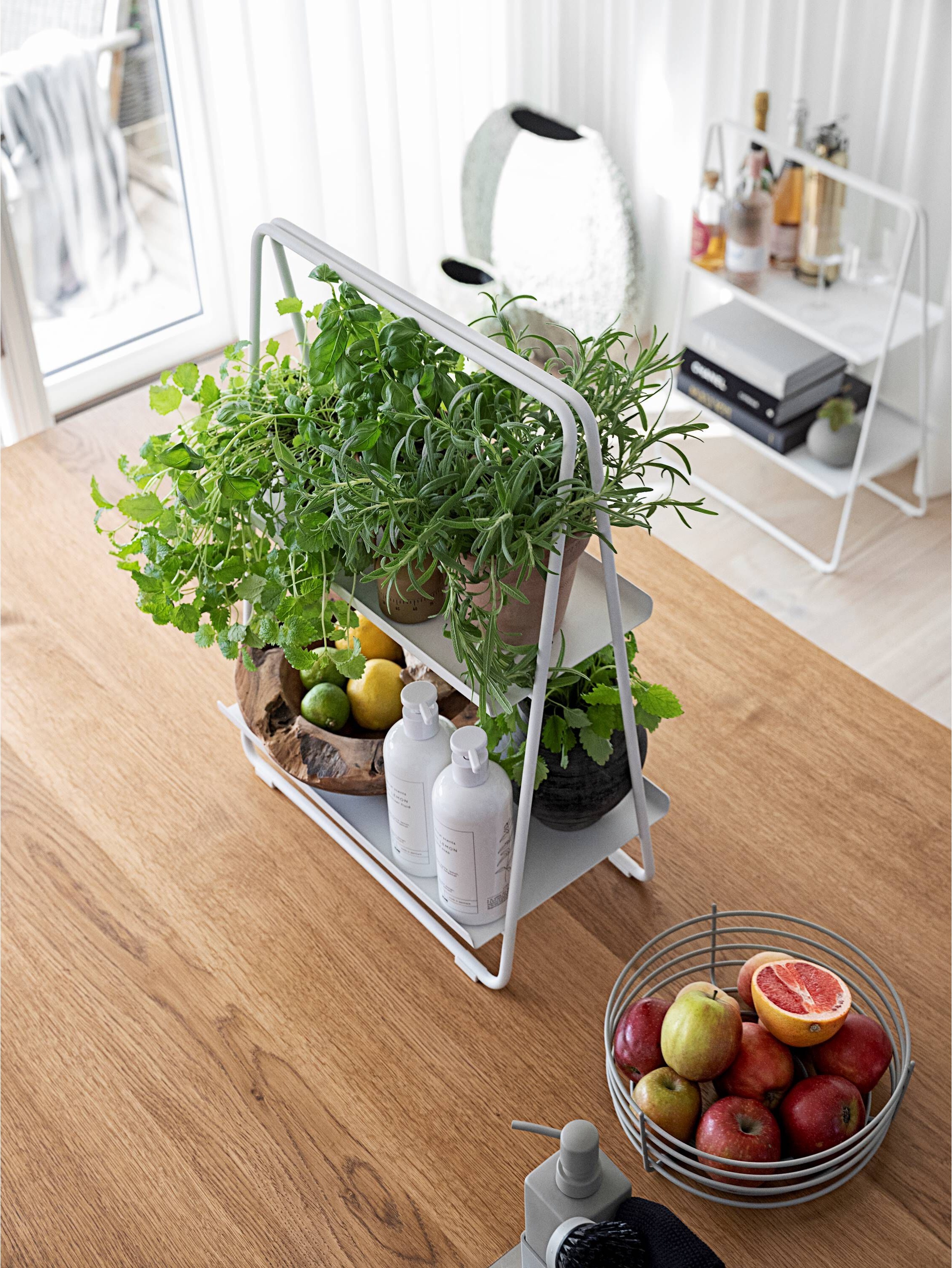 23949 Посудомоечная жидкость Zone Denmark Botanical Scents - Вид №5