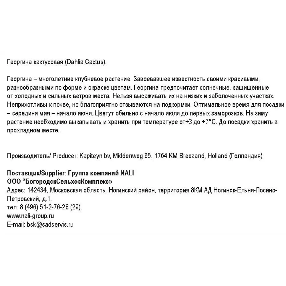 Георгина кактусовая Вайт риббон 1 шт 82549919 STLM-2022460 Santreyd  - Вид №1