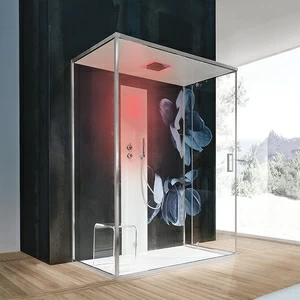 Ограждение для душа и турецкой бани Gemini 6 110х120 см 1GNV3S0