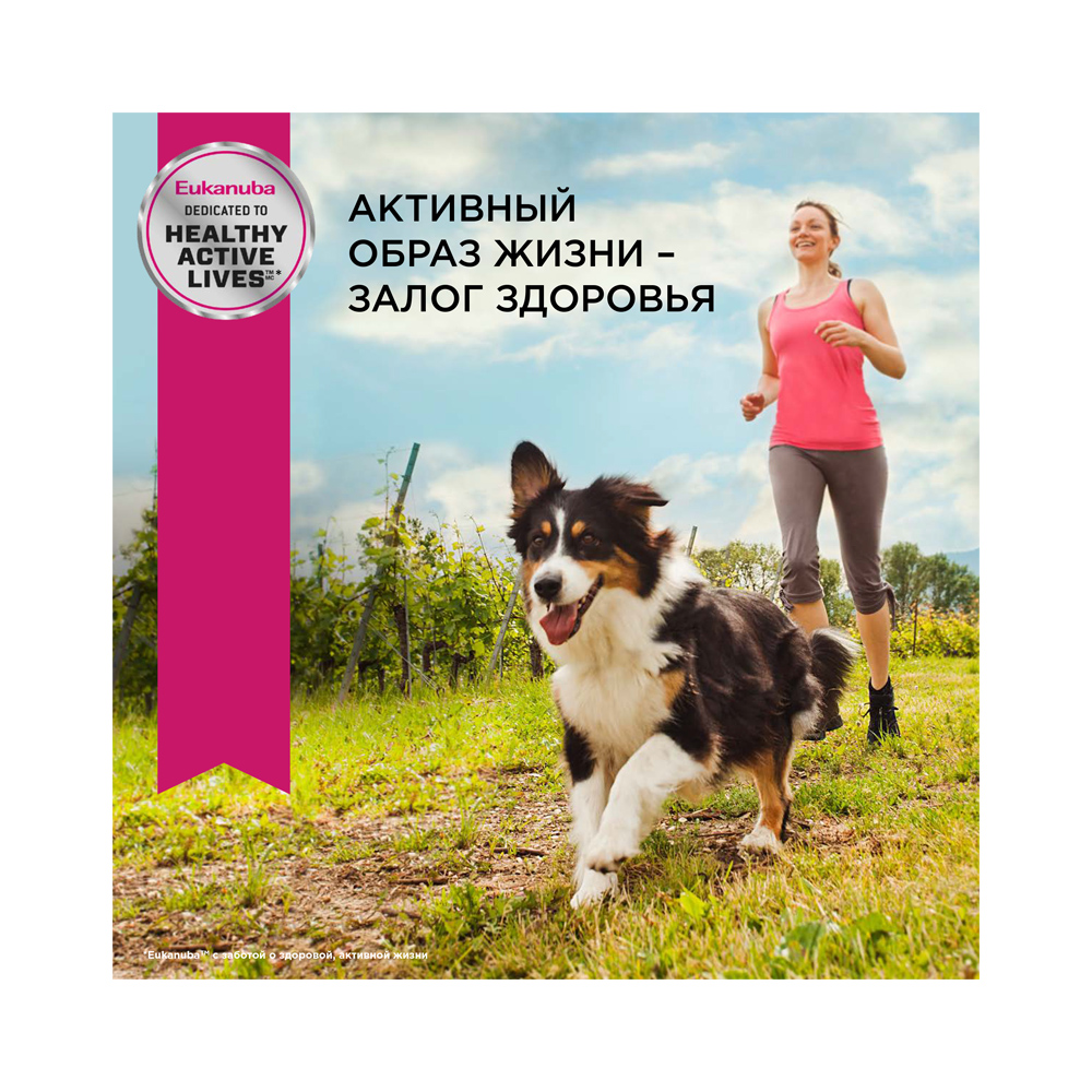 ПР0023016 Корм для собак старше 7 лет ягненок, рис сух. 12кг Eukanuba  - Вид №6