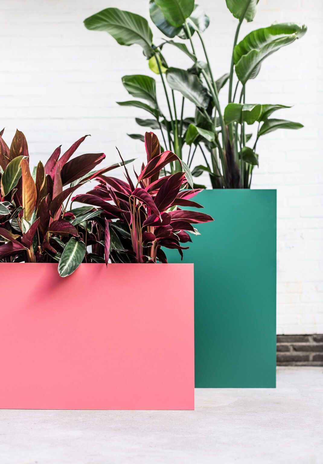 Прямоугольная алюминиевая плантатор с порошковым покрытием SIXINCH PLANTER ARCH-00109030 - Вид №15