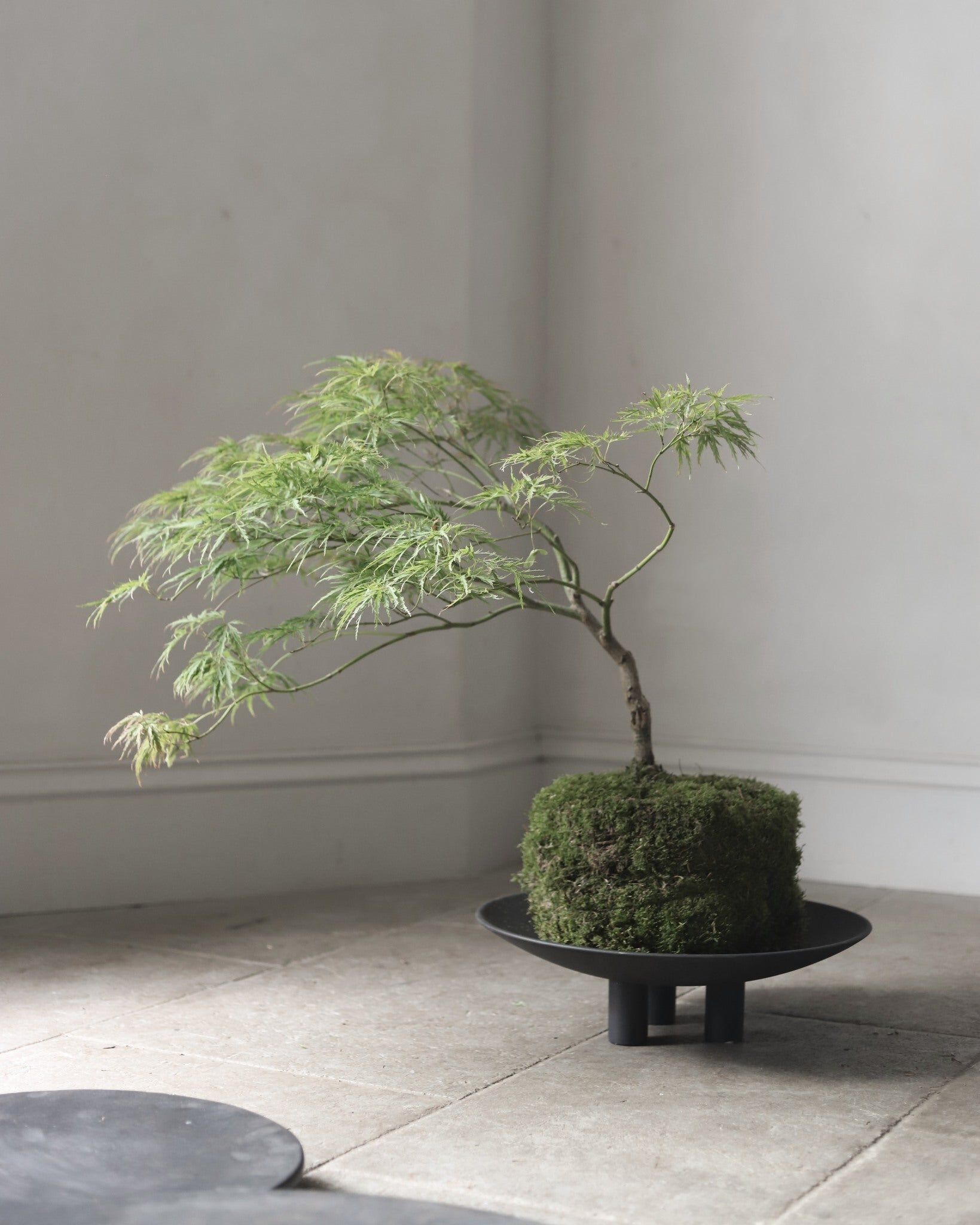 ARCH-00117512 Лоток для хранения яиц 101 Copenhagen Дания утка - Вид №4