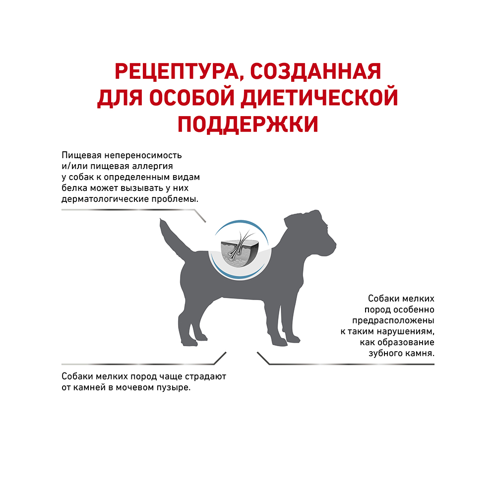 Т0039656 Корм для собак Vet Diet Hypoallergenic Small Dog HSD24 до 10кг сух. 1кг ROYAL CANIN  - Вид №2