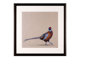 SOR27330 Фазан в рамке ijlbrown