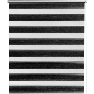 Штора рулонная день-ночь Дэли 80x160 см серая