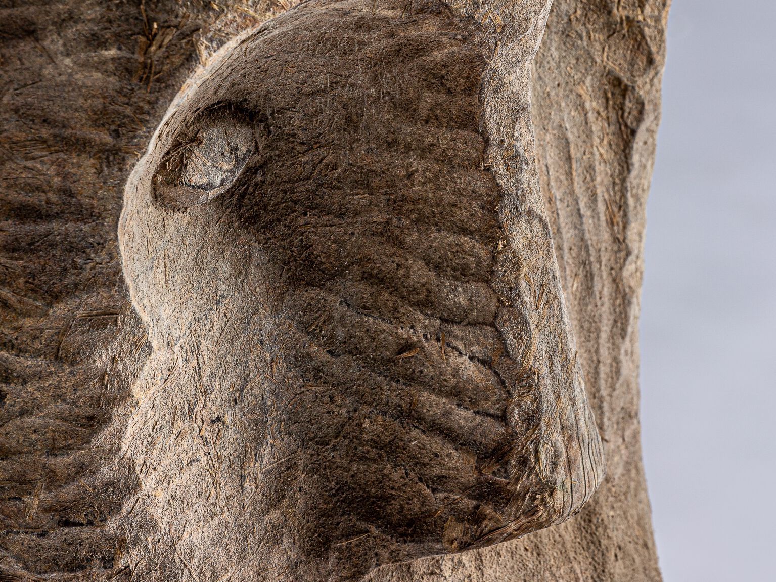 Резьба по дереву Vical Home FLOOR SCULPTURE ARCH-00013320