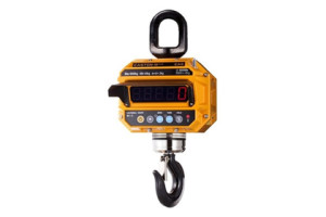 16382255 Крановые весы 2 THD Plus, ton 3 77-00032229 CAS