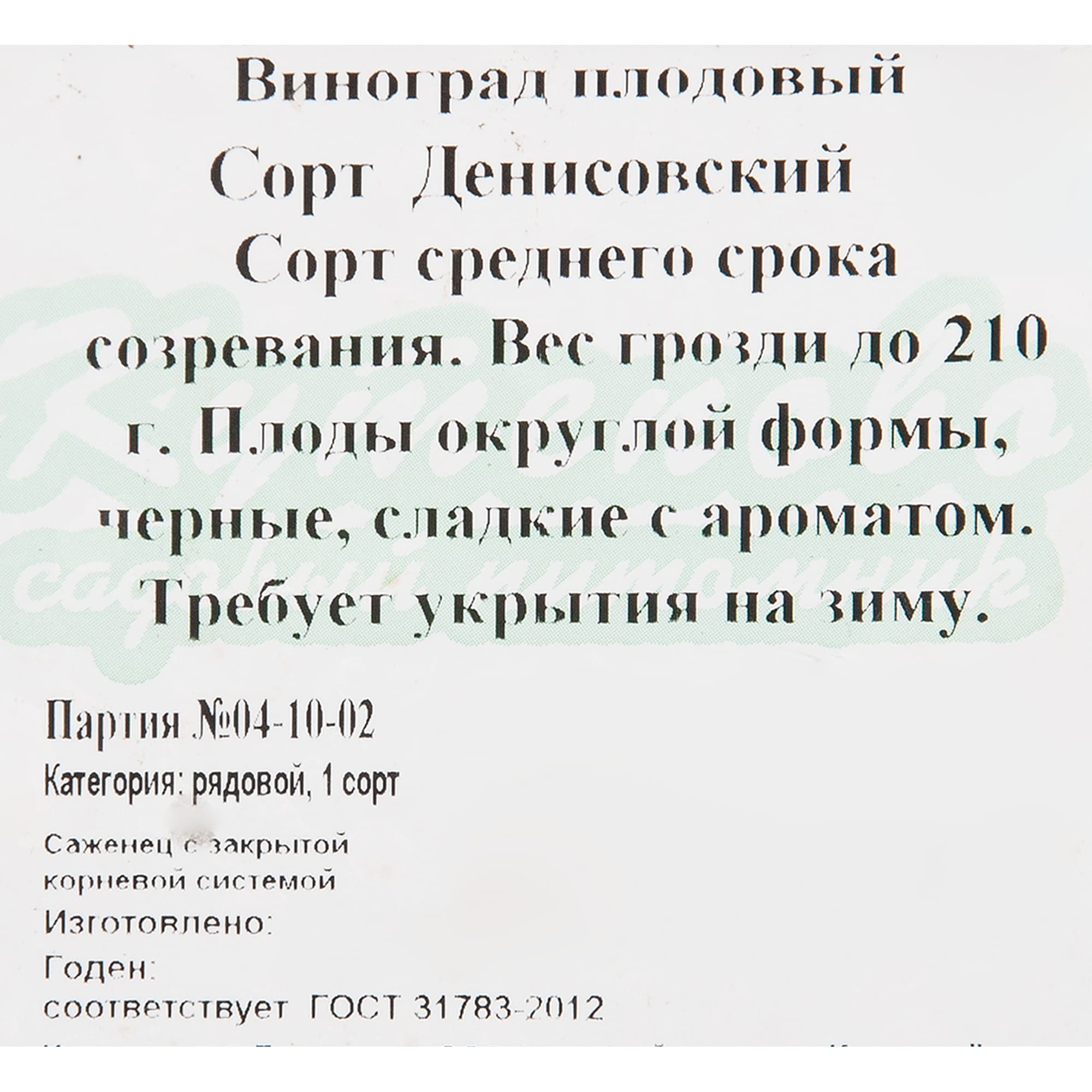 82596931 Виноград плодовый «Денисовский» C2 высота 50 см Santreyd  - Вид №1