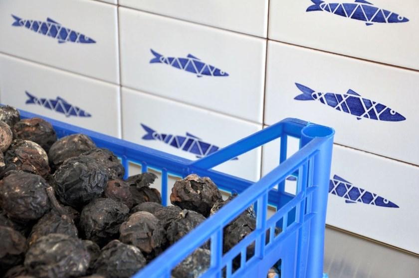 Made a Mano Покрытие Sardine sun-id-1353641 - Вид №1