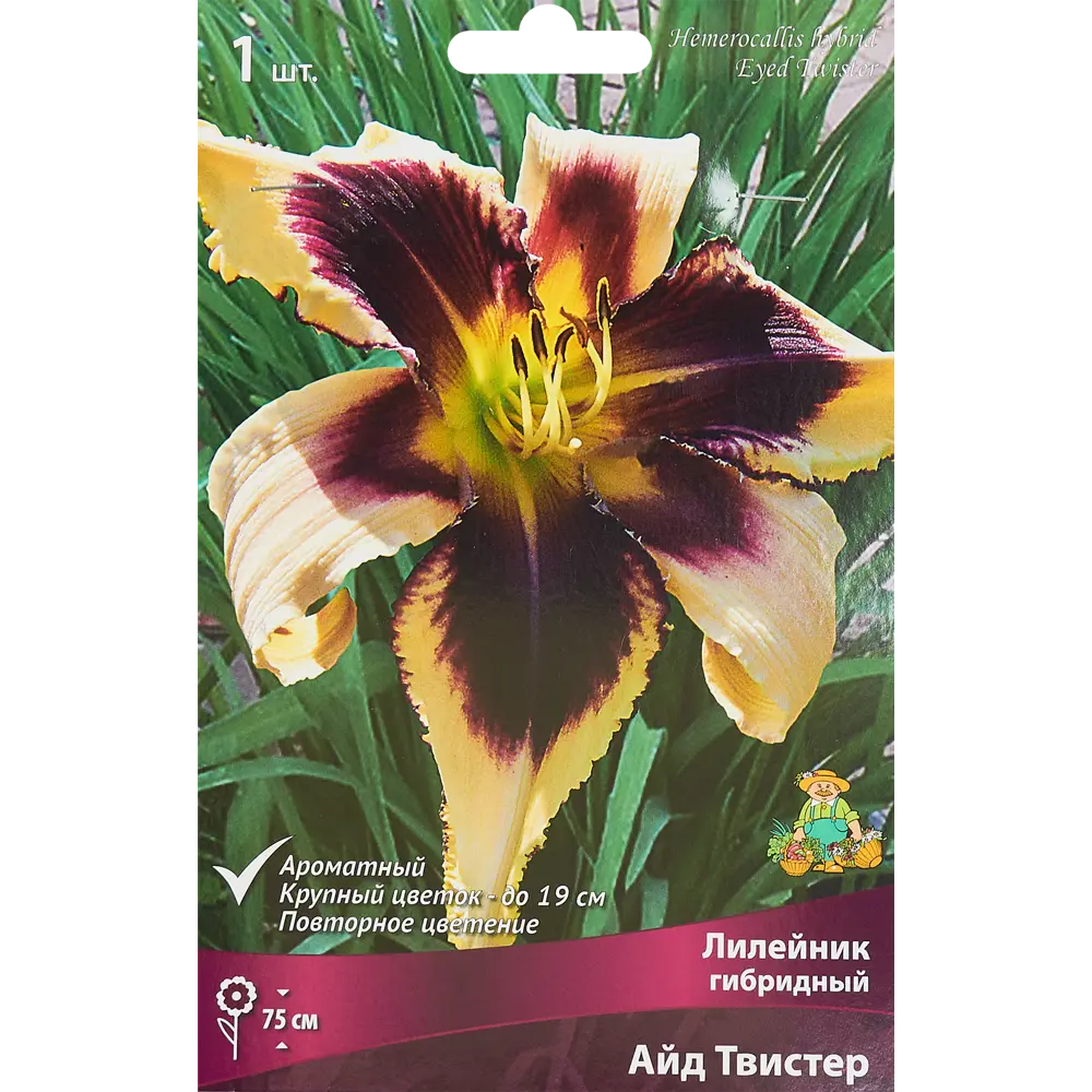 Лилейник гибридный Айд Твистер 85186038 STLM-2159427 ПОИСК 