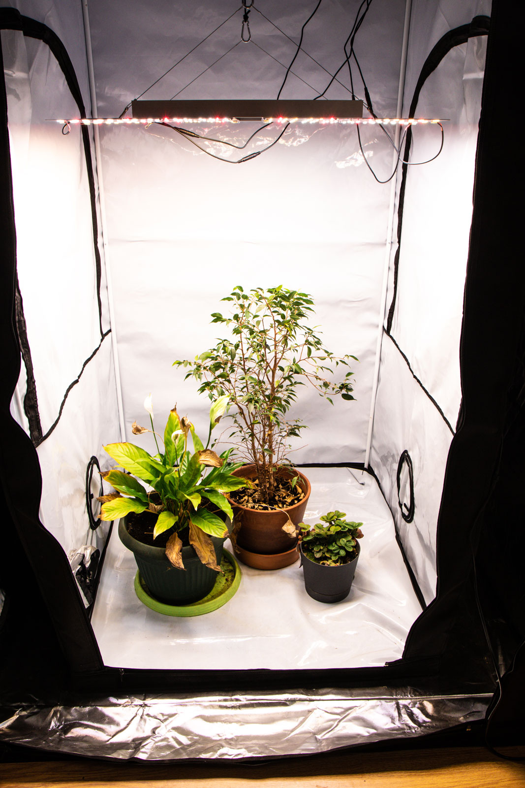 3530 Комплект Quantum board Sunlike 240 Вт (4х60) LAB.Space  - Вид №5