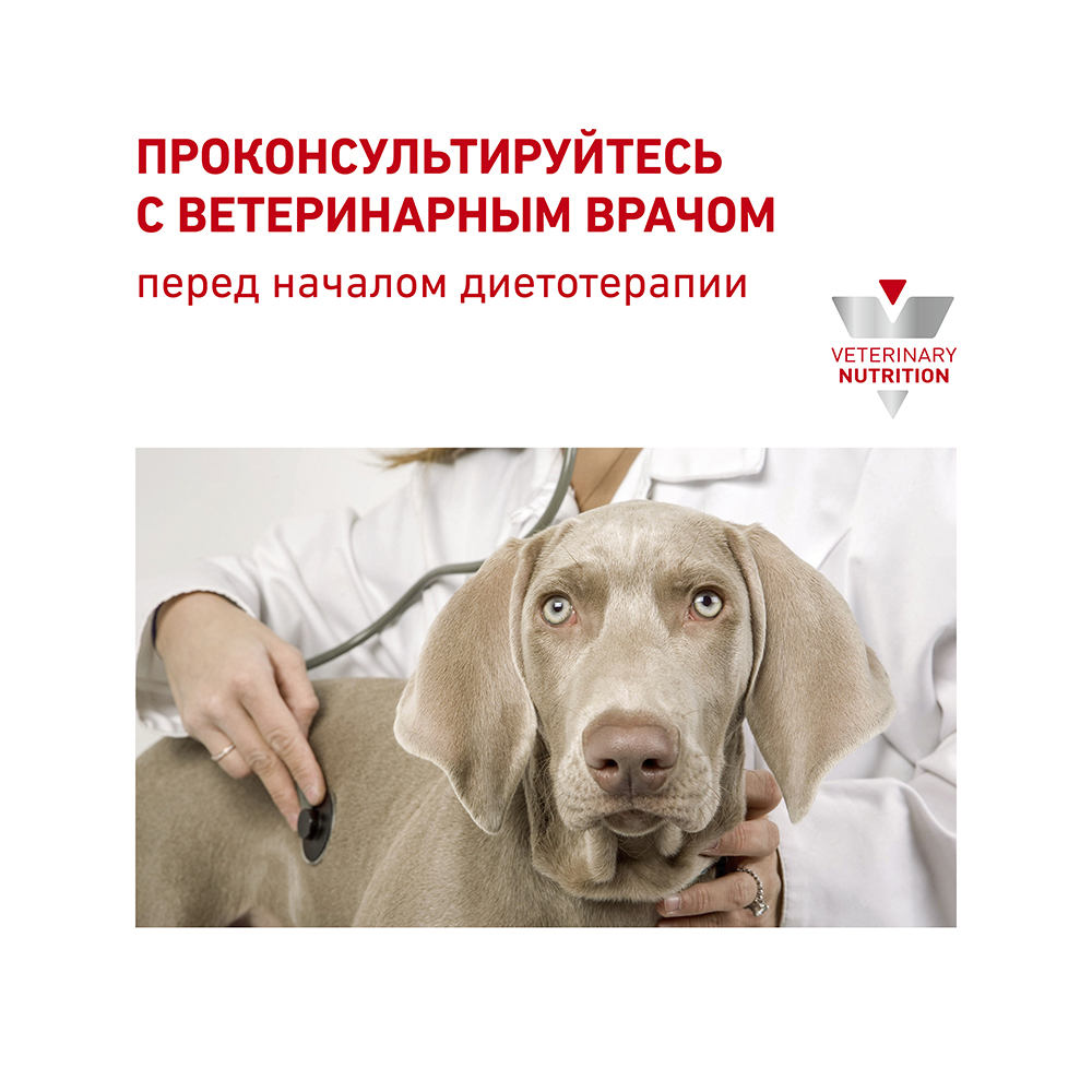 Т0055618 Корм для собак Vet Diet Gastro Intestinal при нарушении пищеварения, птица конс .400г ROYAL CANIN  - Вид №6