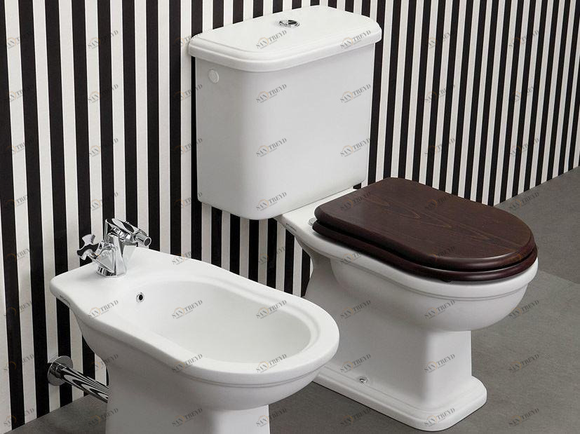 6001 Компакт унитаз с бачком Белый Ceramica Flaminia Efi Италия