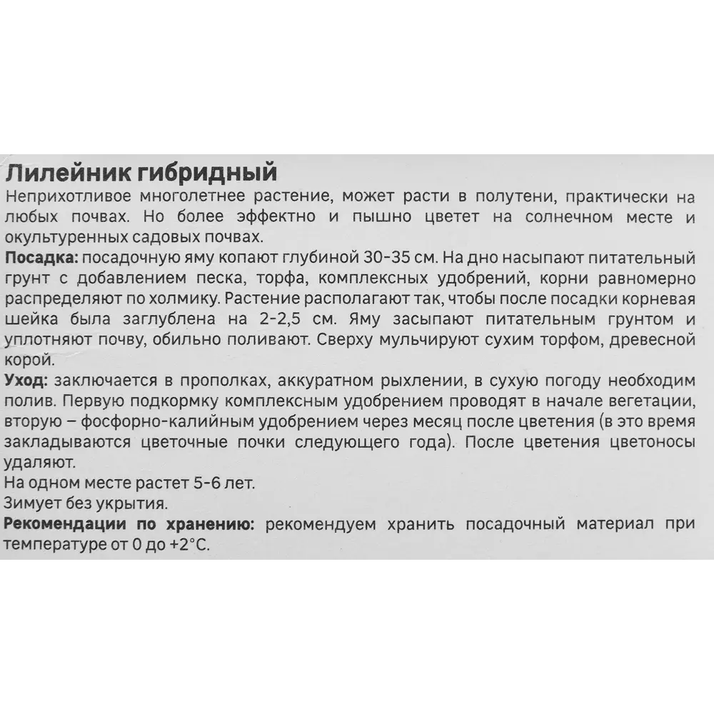 Лилейник Geolia гибридный Хелло Скриме STLM-2194222 - Вид №3