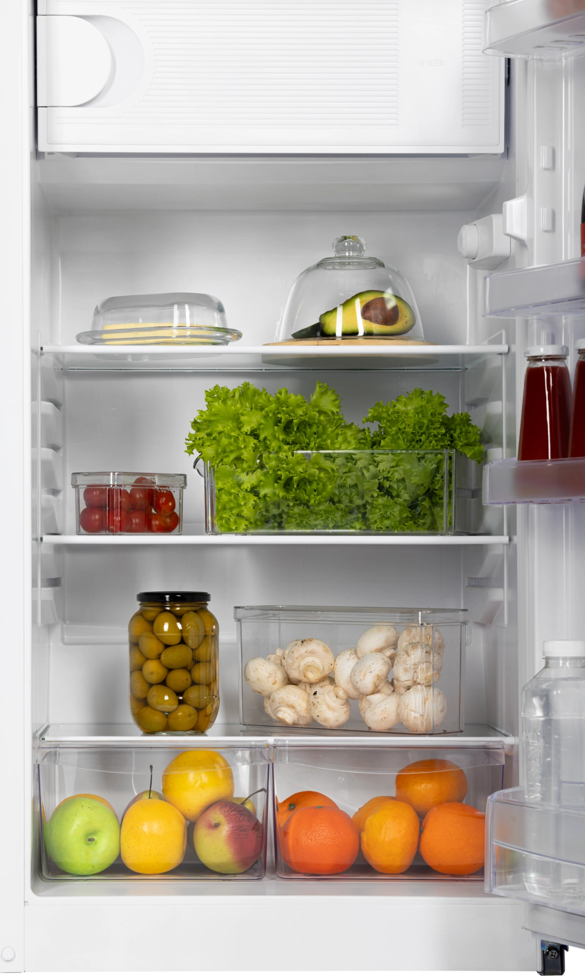 9291872 Холодильник компактный   NORD NR 247 032 белый STDN-0099891 - Вид №2